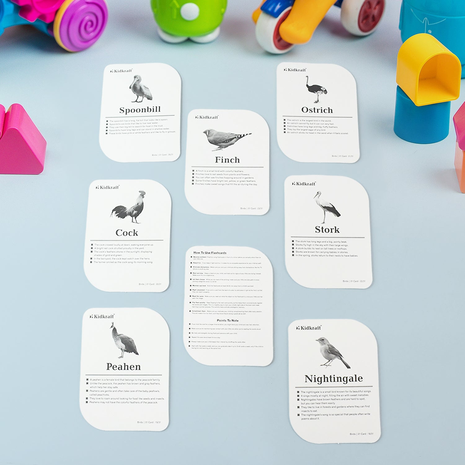 Kidkraft Early Learner Educational Flashcards  32 Birds Kidkraft Early Learner Educational Flashcards  32 Birds